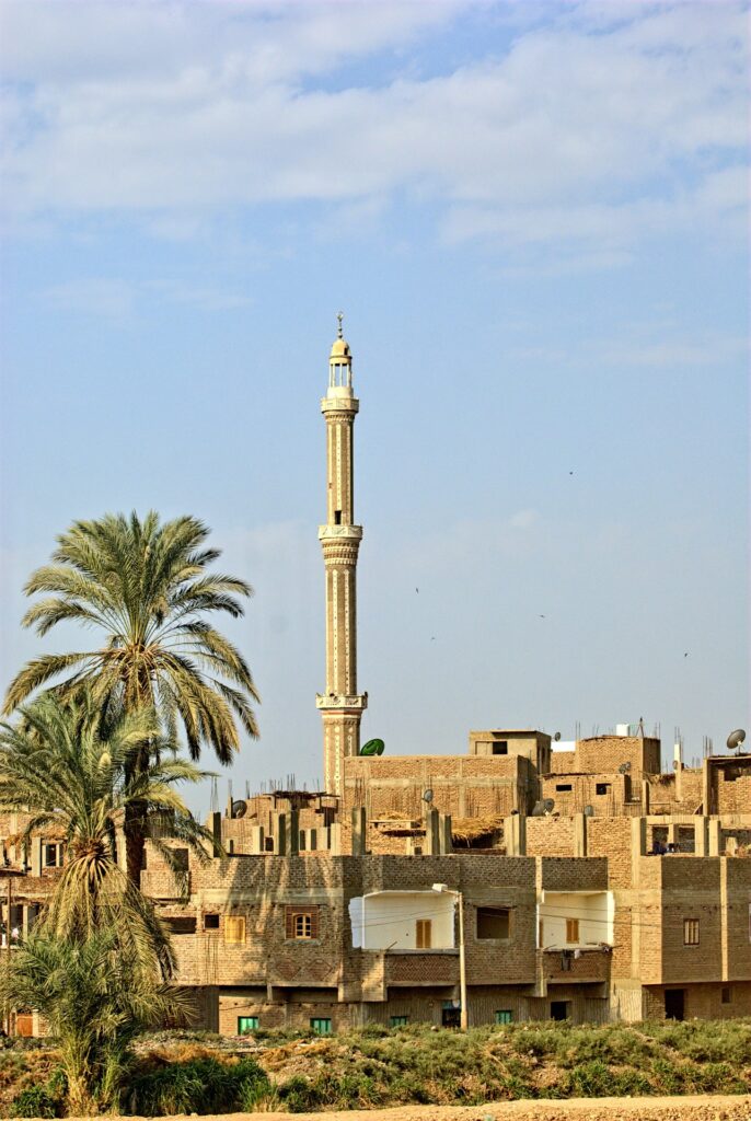 EGYPT: PENALTY WAIVER LAW NO. 173 FOR THE YEAR 2020