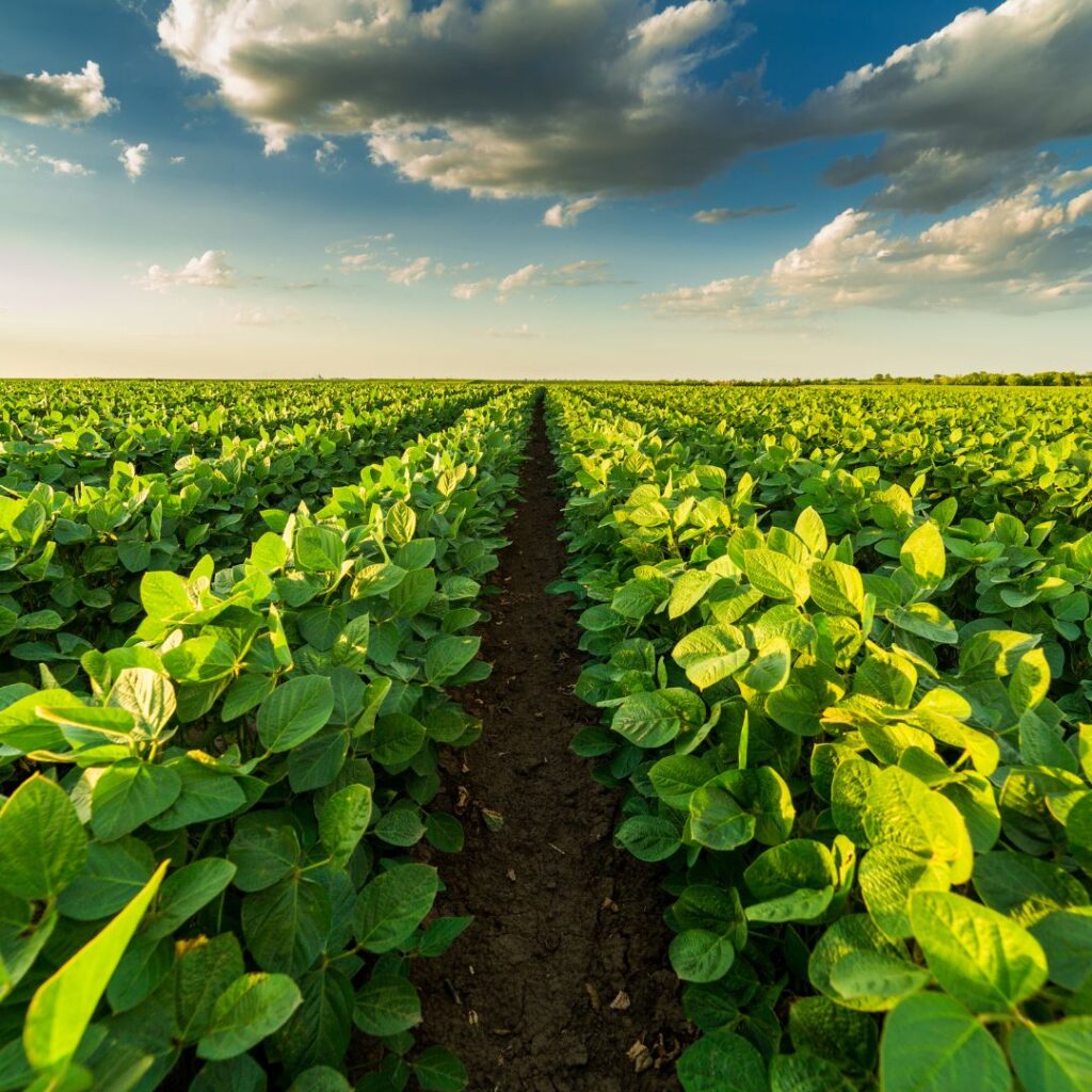 agriculture sector specialized services