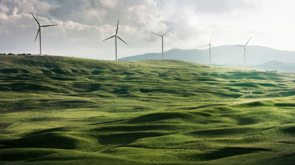 Elevate Your Business with ESG and Compliance